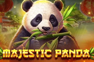 fg666 daily casino guide hero for Bangladesh mobile users